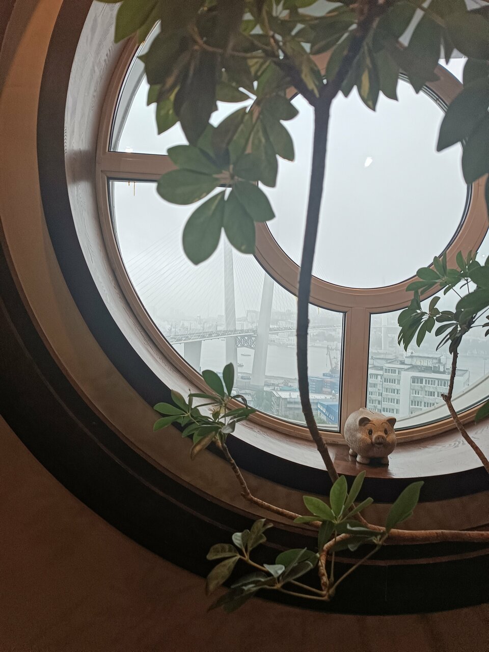 Гостиница Меридиан Владивосток-138