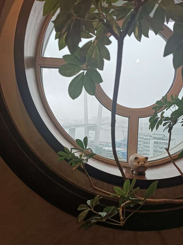 Гостиница Меридиан Владивосток-137