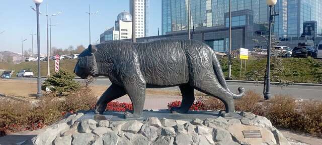 Гостиница Меридиан Владивосток-111