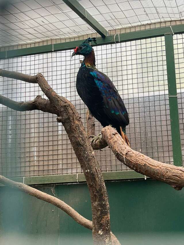 Гостиница Меридиан Владивосток-113